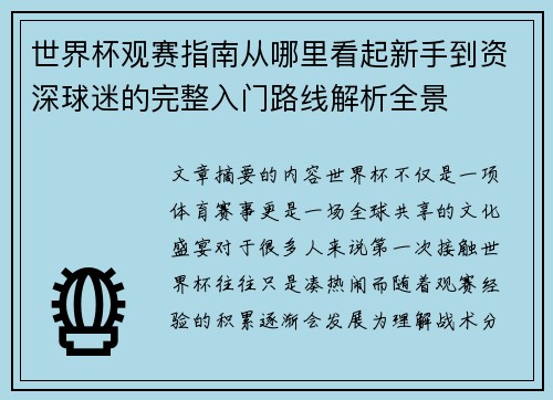 世界杯观赛指南从哪里看起新手到资深球迷的完整入门路线解析全景